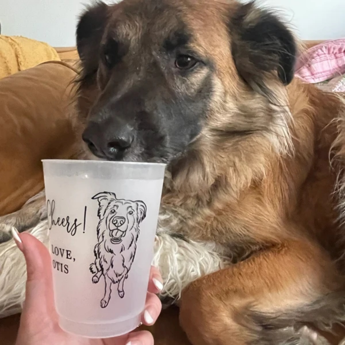 10/50 Custom Dog Cat Pet Portr – Plastic Cup 50Pcs recenzja i cena
