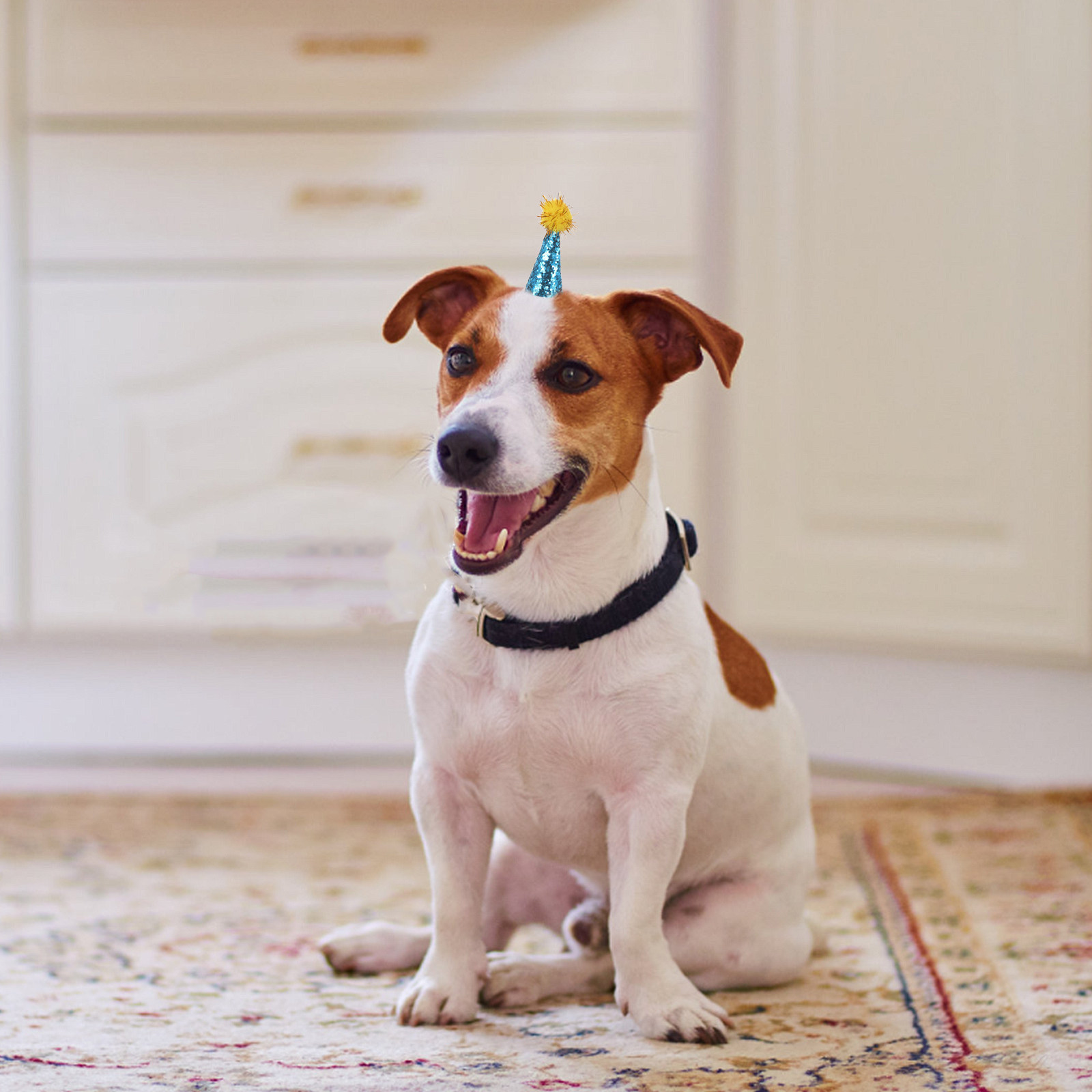 10Pcs Pet Birthday Hat Cone Po – Party Hat Cone recenzja i cena