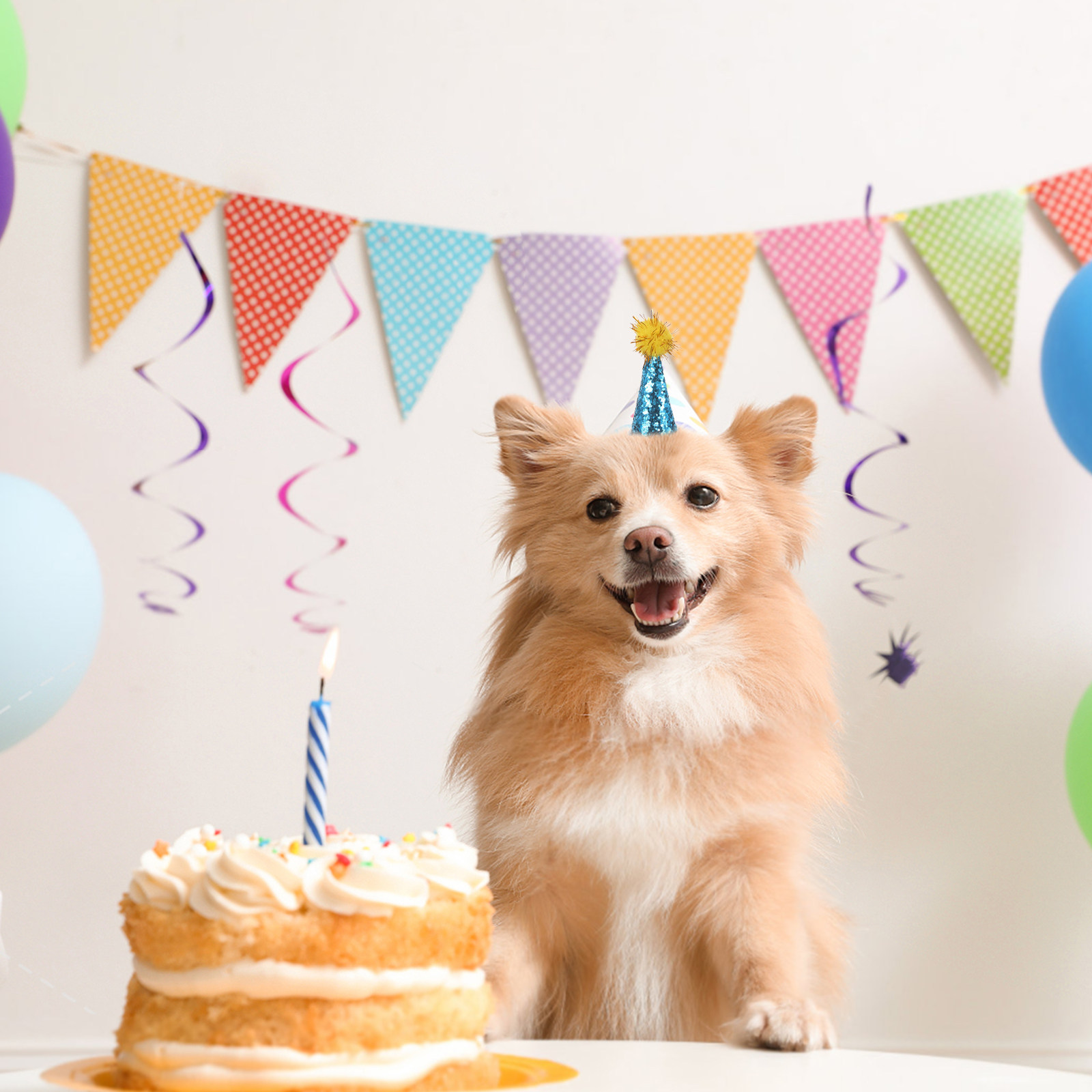 10Pcs Pet Birthday Hat Cone Po – Party Hat Cone recenzja i cena